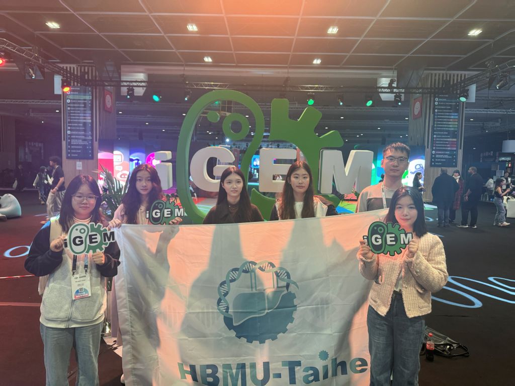 英国上市公司365