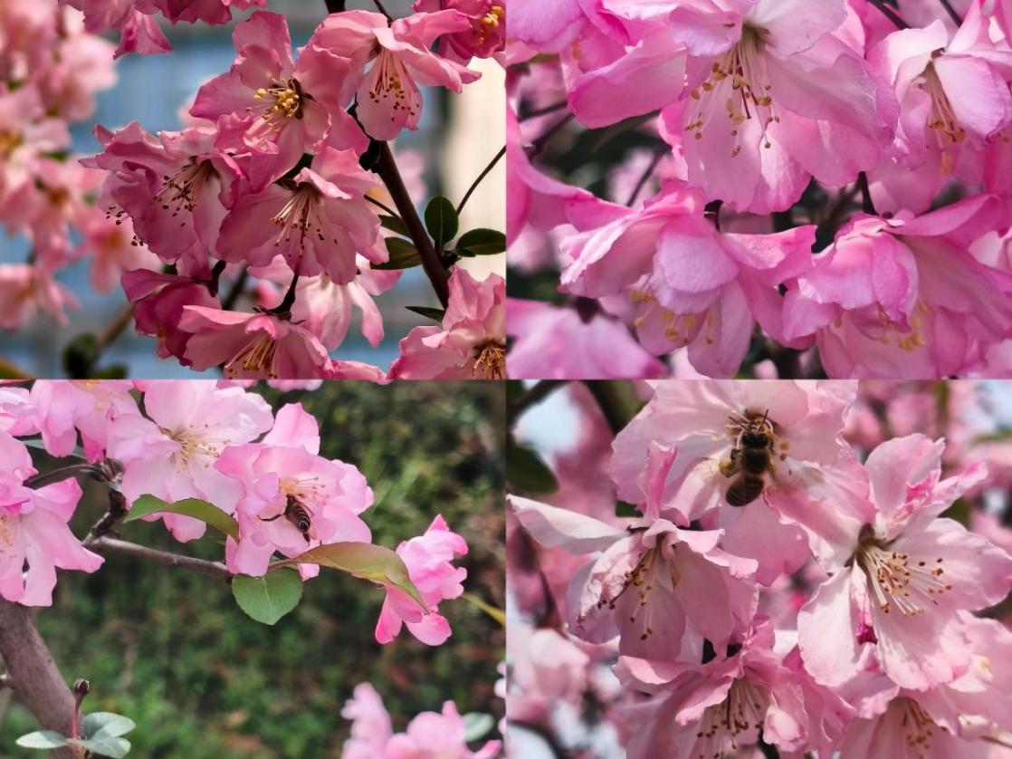 英国上市公司365