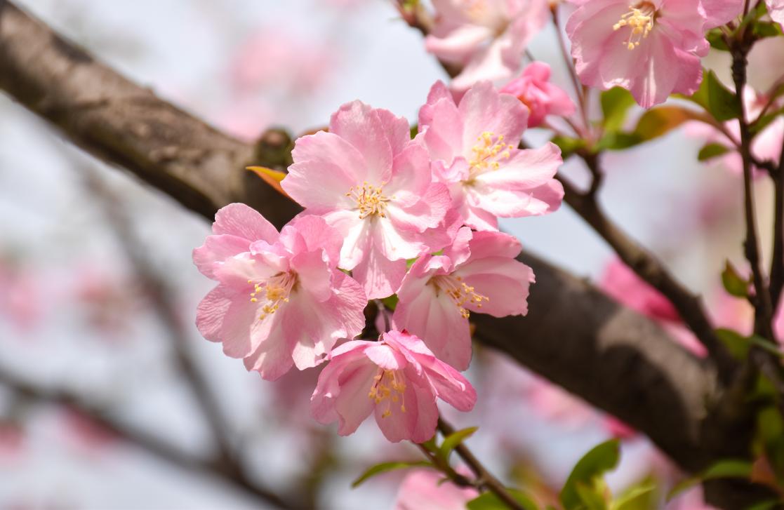 英国上市公司365